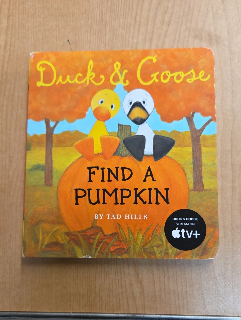 Set of 4 Duck & Goose board books by Tad‎ Hills